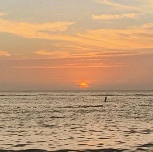 Meet your Posher, Mariska